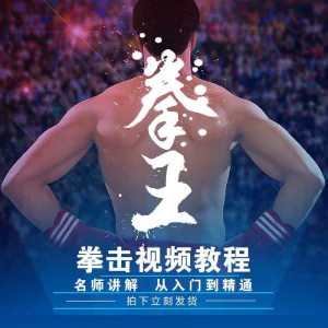 拳击教学视频 自学教程 训练零基础运动入门健身搏击格斗武术课程-北极星资源库