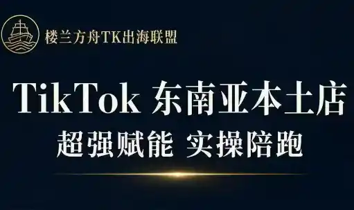 三叔·TikTok东南亚本土店实操(更新8月)-北极星资源库