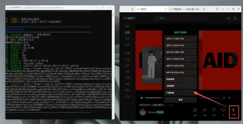 Github热门工具,视频号下载神器又来了!一键注入下载按钮,轻松下载,使用便捷wx_channel