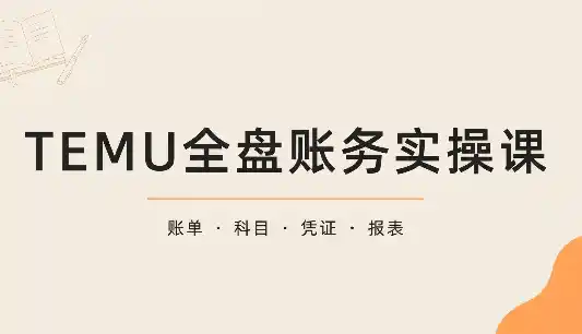 TEMU全盘账务实操课：账单导出、科目设置、利润核算-北极星资源库