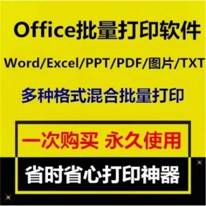 Office批量打印软件工具 Word/Excel/PPT/图片/PDF批量打印软件-北极星资源库