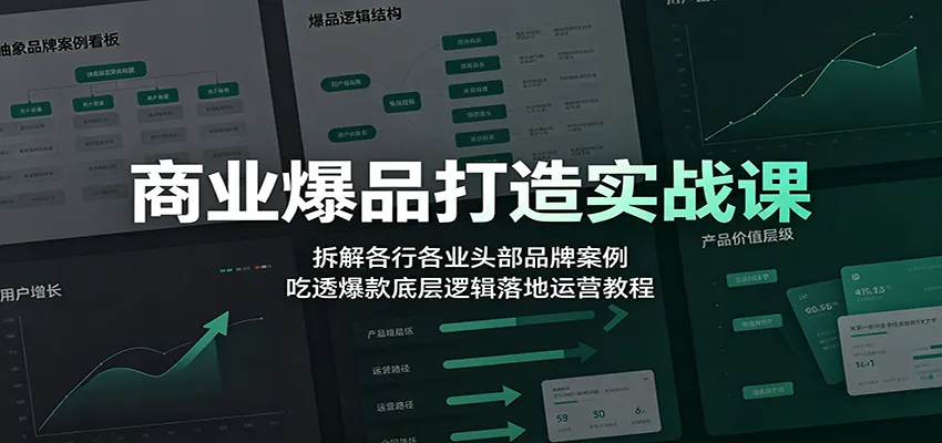 商业爆品打造实战课：拆解各行各业头部品牌案例，吃透爆款底层逻辑落地运营教程-北极星资源库