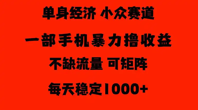 26年暴力单身经济，稳定日入500-1k，不缺流量，流量极大，冷门小众赛道，门槛低小白轻松上手【揭秘】-北极星资源库