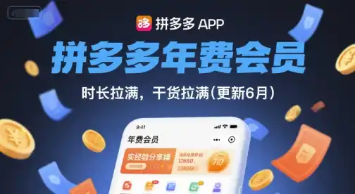 拼多多年费会员，实经验分享操，时长拉满，干货拉满(更新260914)-北极星资源库
