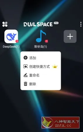 Dual Space 双开空间v3.1.3 专业版-北极星资源库