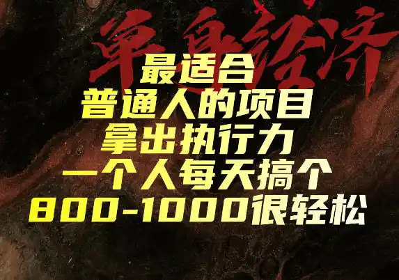 最适合普通人的项目，拿出执行力一个人每天搞个800-1k很轻松【揭秘】-北极星资源库