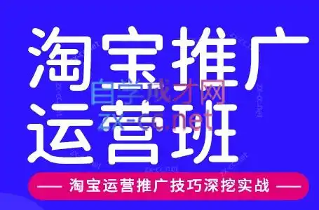 美迪电商·淘宝高级运营班+推广运营班(更新9月)-北极星资源库