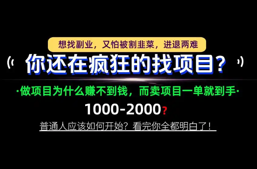 你还在疯狂的找项目？别傻了！卖项目才是真正的一本万利！怎么做，看完你全都明白！【揭秘】-北极星资源库