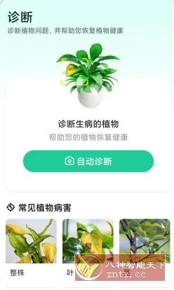 Plant Parent 植物养护v1.107高级版-北极星资源库