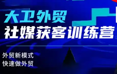 大卫老师·外贸社媒获客独家训练营(更新8月)-北极星资源库