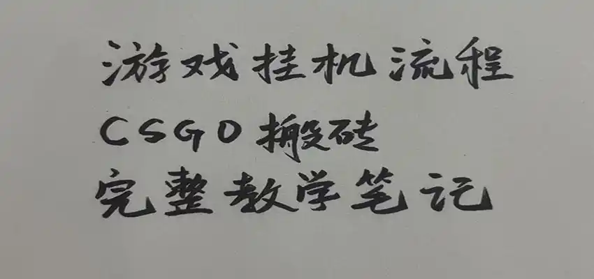 游戏挂机全流程笔记分享，CSGO游戏搬砖，小白看了当天学会见收益-北极星资源库