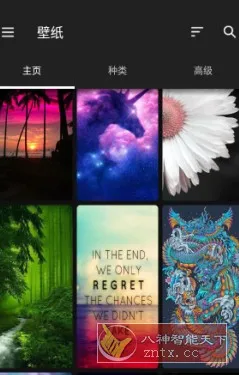 ZEDGE 铃声和壁纸v9.18.1高级版-北极星资源库