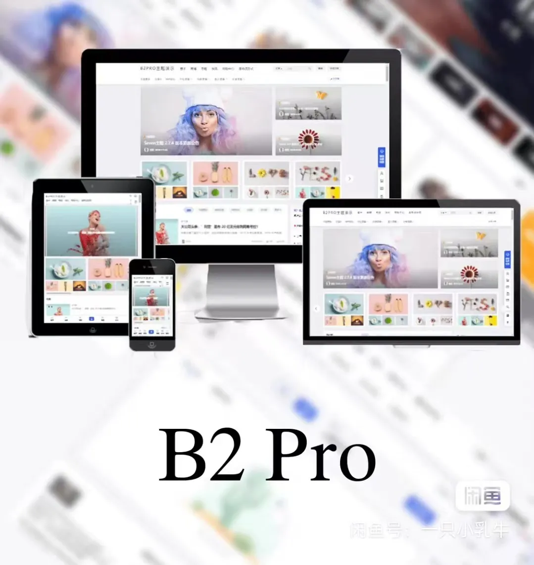 最新版7B2 PRO主题5.4.2 免授权开心版源码-北极星资源库