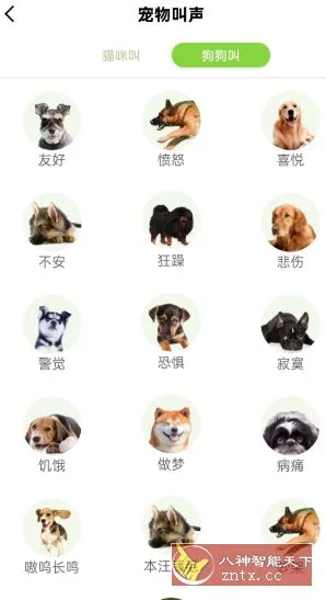 动物声音模拟器9.5.6高级版-北极星资源库