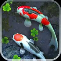 Water Garden Live Wallpaper 锦鲤3D动态壁纸2.09专业版-北极星资源库