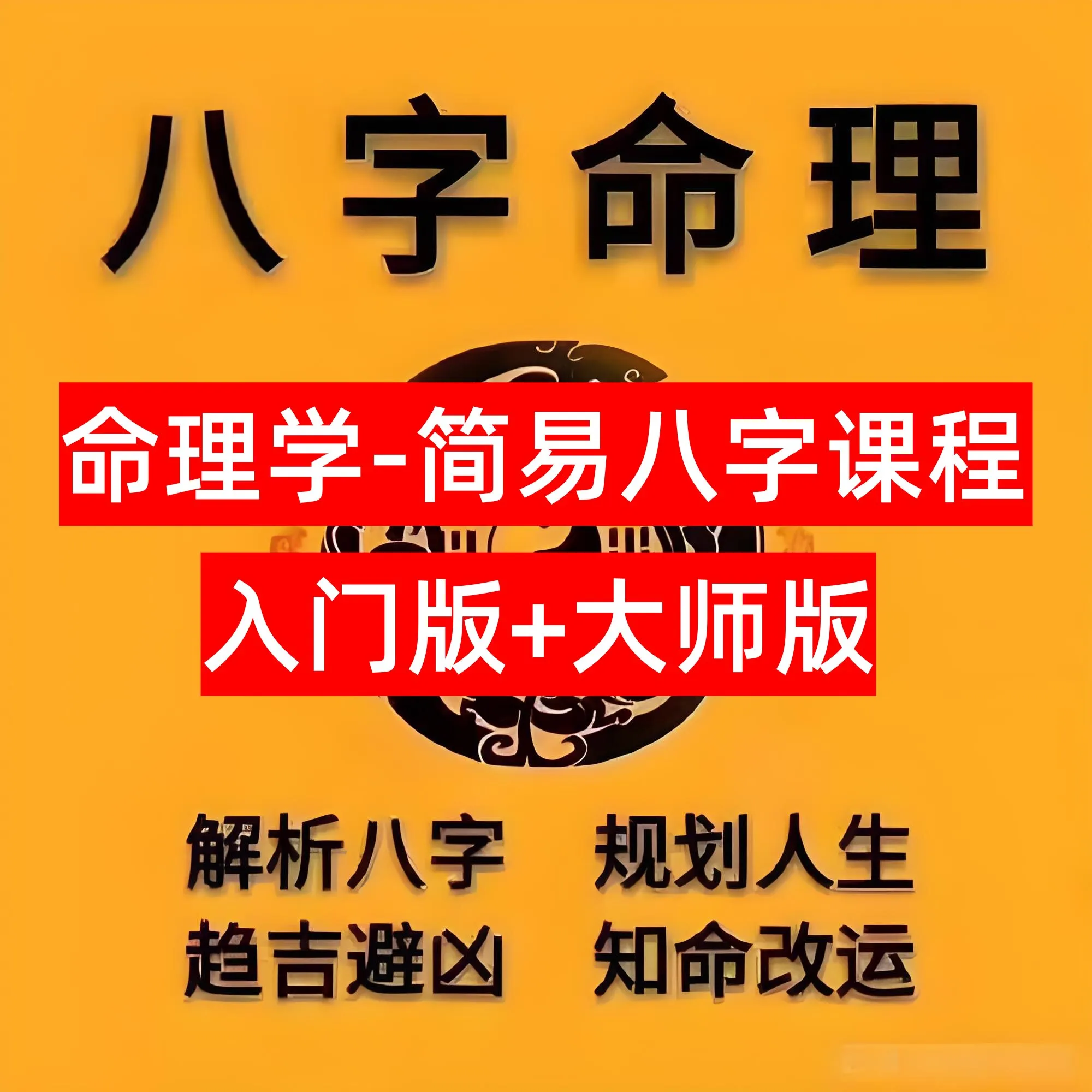 命理学课程-简易八字【入门版+大师版】从入门到精通教程【2.9GB】电商热销1258-北极星资源库