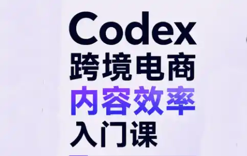 Codex跨境电商内容效率入门课-北极星资源库