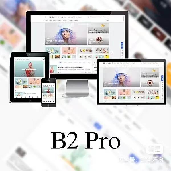 WordPress B2 Pro 主题5.2.0最新开心版,附带官方包体与授权文件-北极星资源库