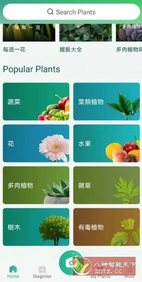 PictureThis 植物识别v5.29.0专业版-北极星资源库