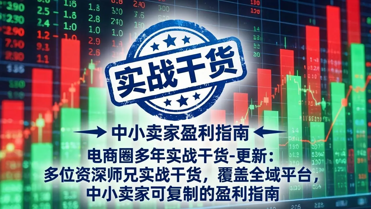 电商圈多年实战干货-更新2026：多位资深师兄实战干货/覆盖全域平台，中小卖家可复制的盈利指南-北极星资源库