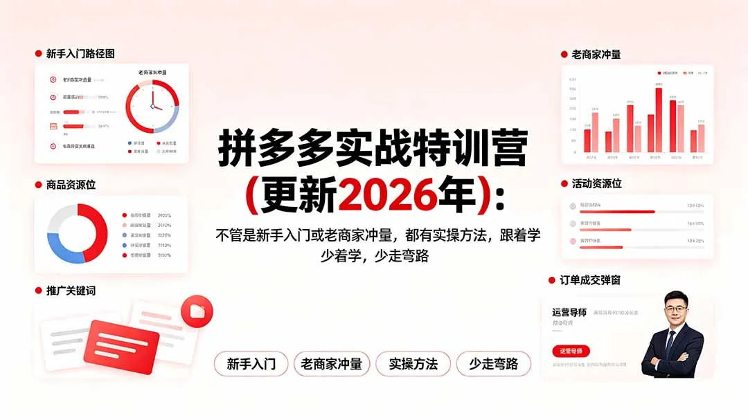 拼多多实战特训营(更新2026年-北极星资源库