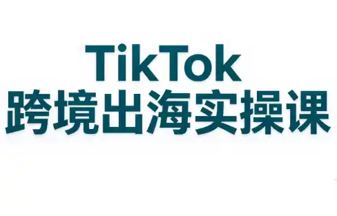 彭老师·TikTok跨境出海实操课-北极星资源库