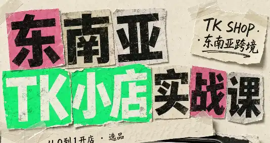东南亚TK小店实战课(基础+进阶)-北极星资源库