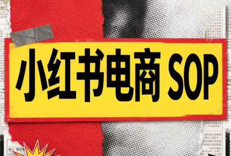书豪必胜小红书电商sop(更新9月)-北极星资源库