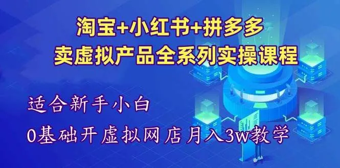 淘宝+小红书+拼多多卖虚拟产品全系列实操课程【适合新手】-北极星资源库