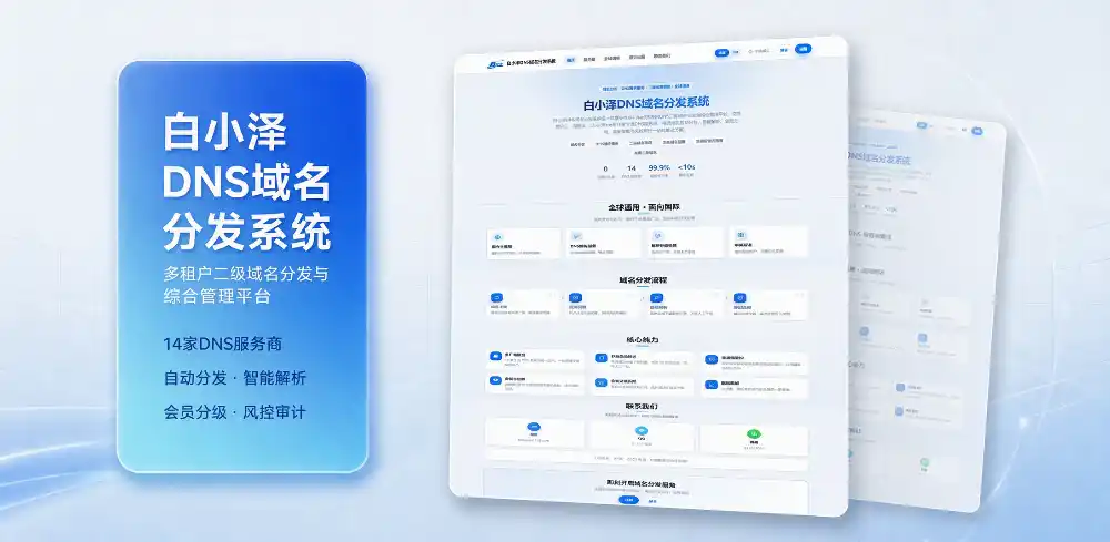 白小泽DNS域名分发系统 公测版 v1.0.0-北极星资源库