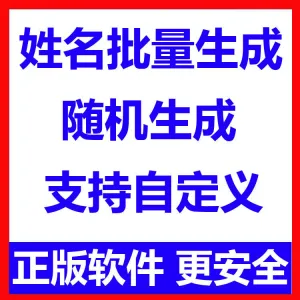 姓名批量生成工具 用户名随机不重复生成软件 可自定义-北极星资源库