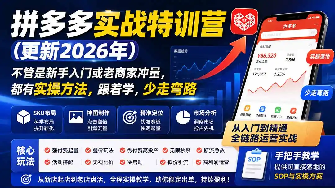 拼多多实战特训营(更新0917-北极星资源库