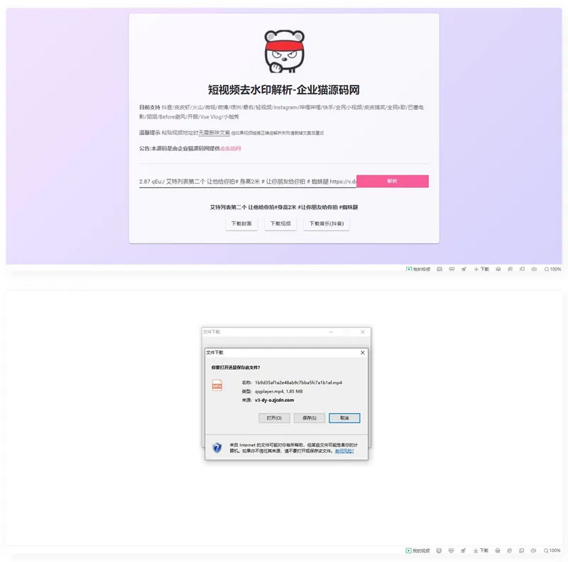 【亲测】网页版短视频去水印源码,上传既用-北极星资源库
