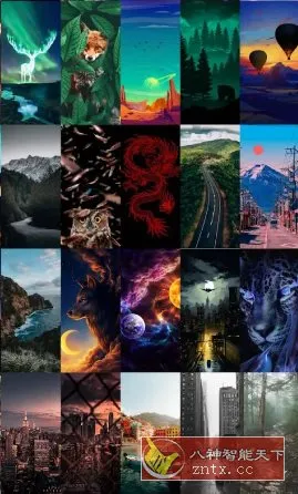 Walli瓦力4K高清壁纸 v2.13.1 解锁高级版-北极星资源库