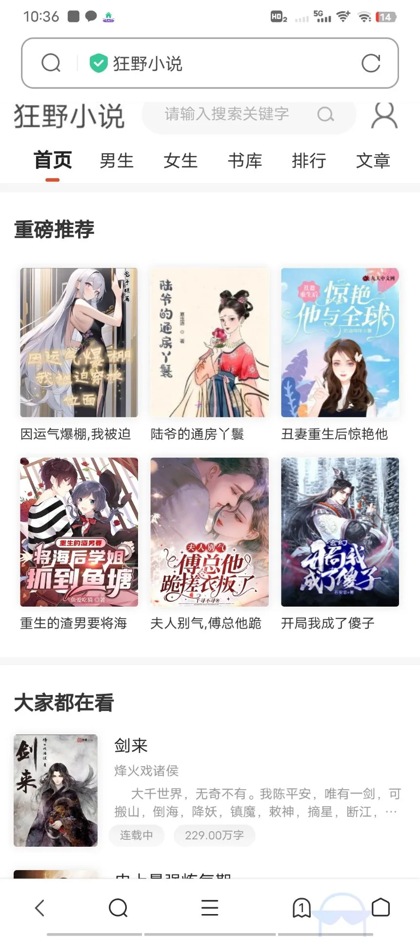 小说网站源码带管理后台手机端和采集-北极星资源库
