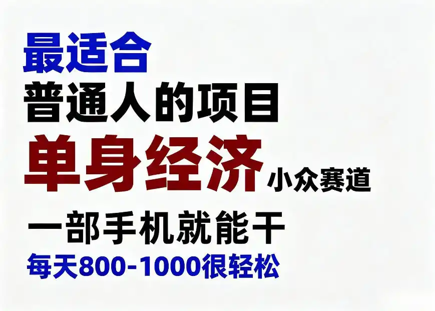 身经济小众赛道，一部手机就能干，每天搞个800-1000很轻松，最适合普通人的项目【揭秘】-北极星资源库