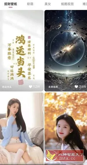 牛牛小组件1.5.10高级版-北极星资源库